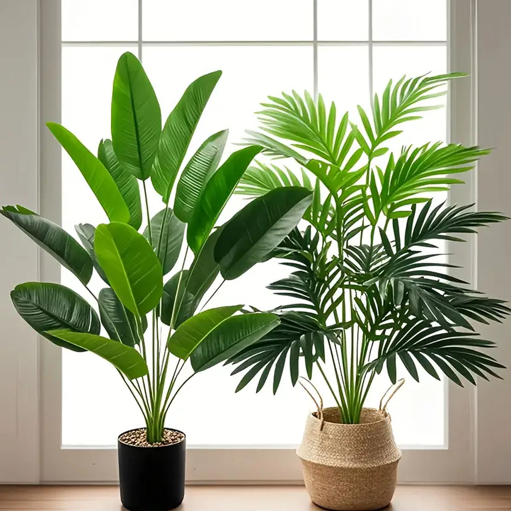 2pcs 82cm Large Scale Simulati - Dracaena Marginata 리뷰 및 가격
