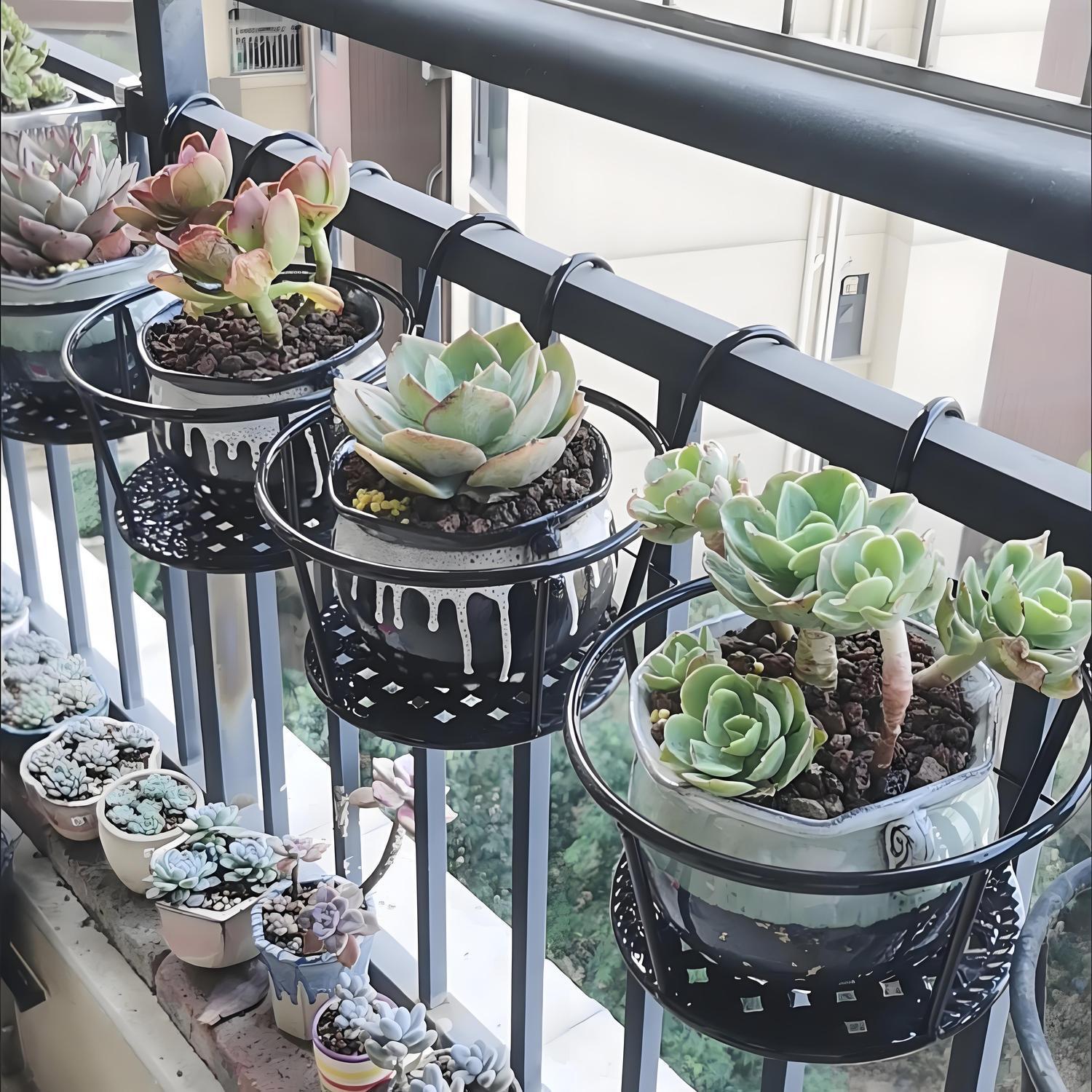 Wrought Iron Balcony Hanging F - Spider Plant Hanging 리뷰 및 가격