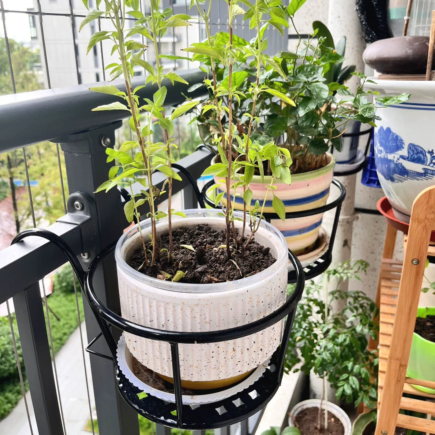 Wrought Iron Balcony Hanging F - Spider Plant Hanging 리뷰 및 가격