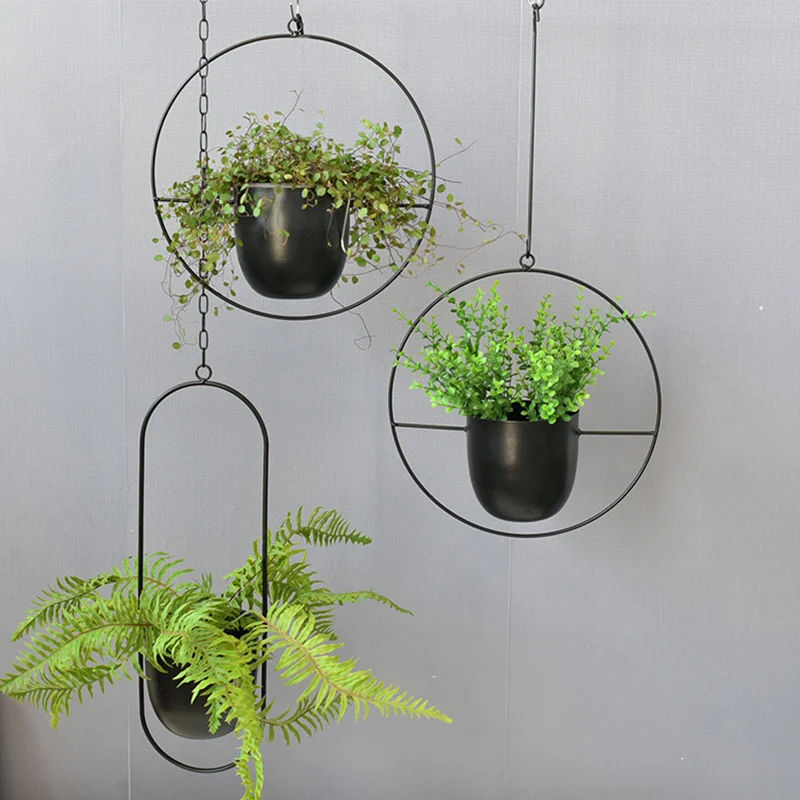 Wrought Iron Hanging Planter E - Spider Plant Hanging 리뷰 및 가격