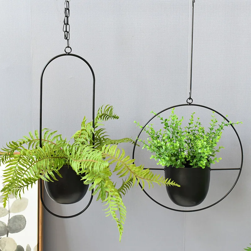 Wrought Iron Hanging Planter E - Spider Plant Hanging 리뷰 및 가격