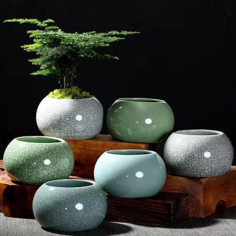 Creative Handmade Geyao Ice Cr - Pilea Peperomioides 리뷰 및 가격