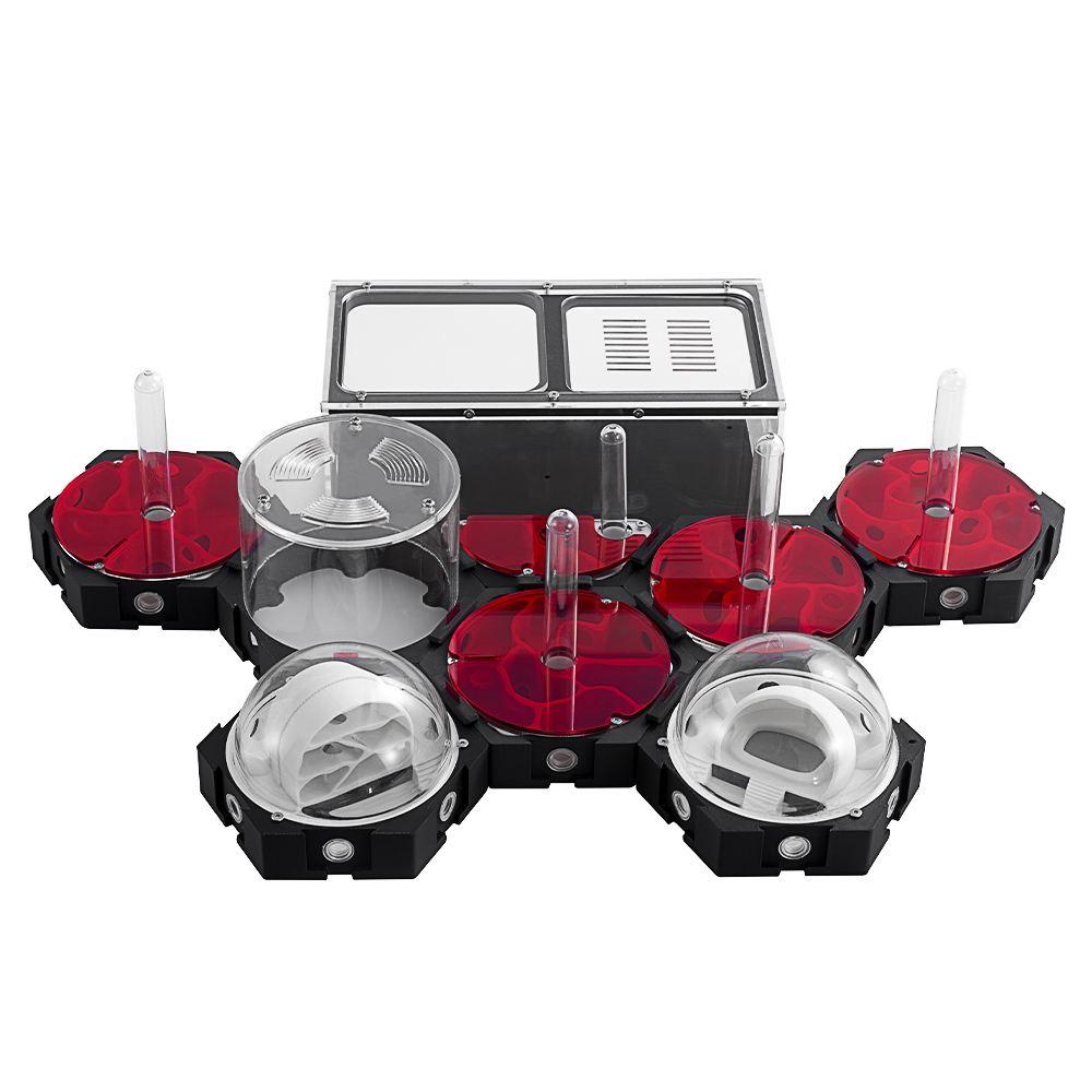3D Printing Ant Farm Infinitel - Begonia Rex 리뷰 및 가격