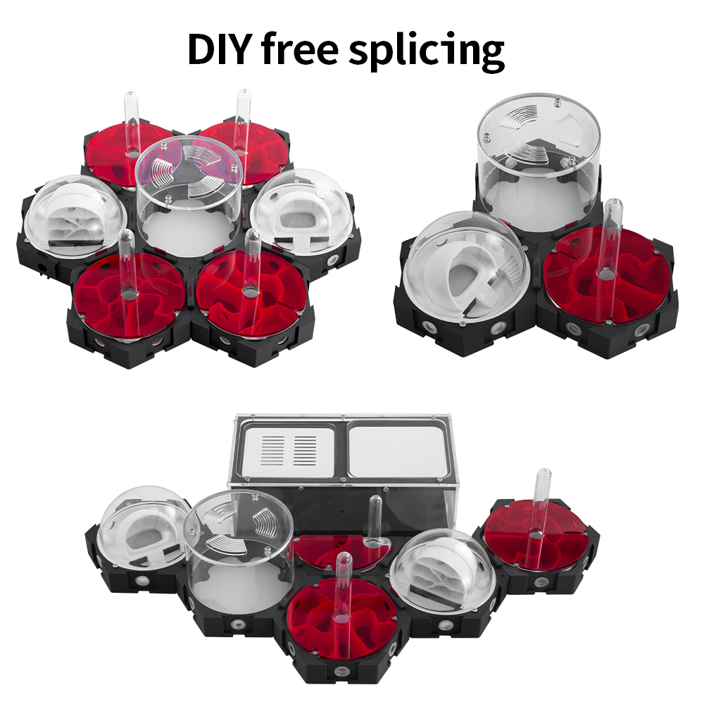 3D Printing Ant Farm Infinitel - Begonia Rex 리뷰 및 가격