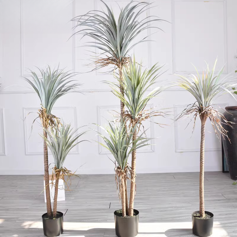 Dragon Blood Yucca Artificial  - Dracaena Marginata 리뷰 및 가격