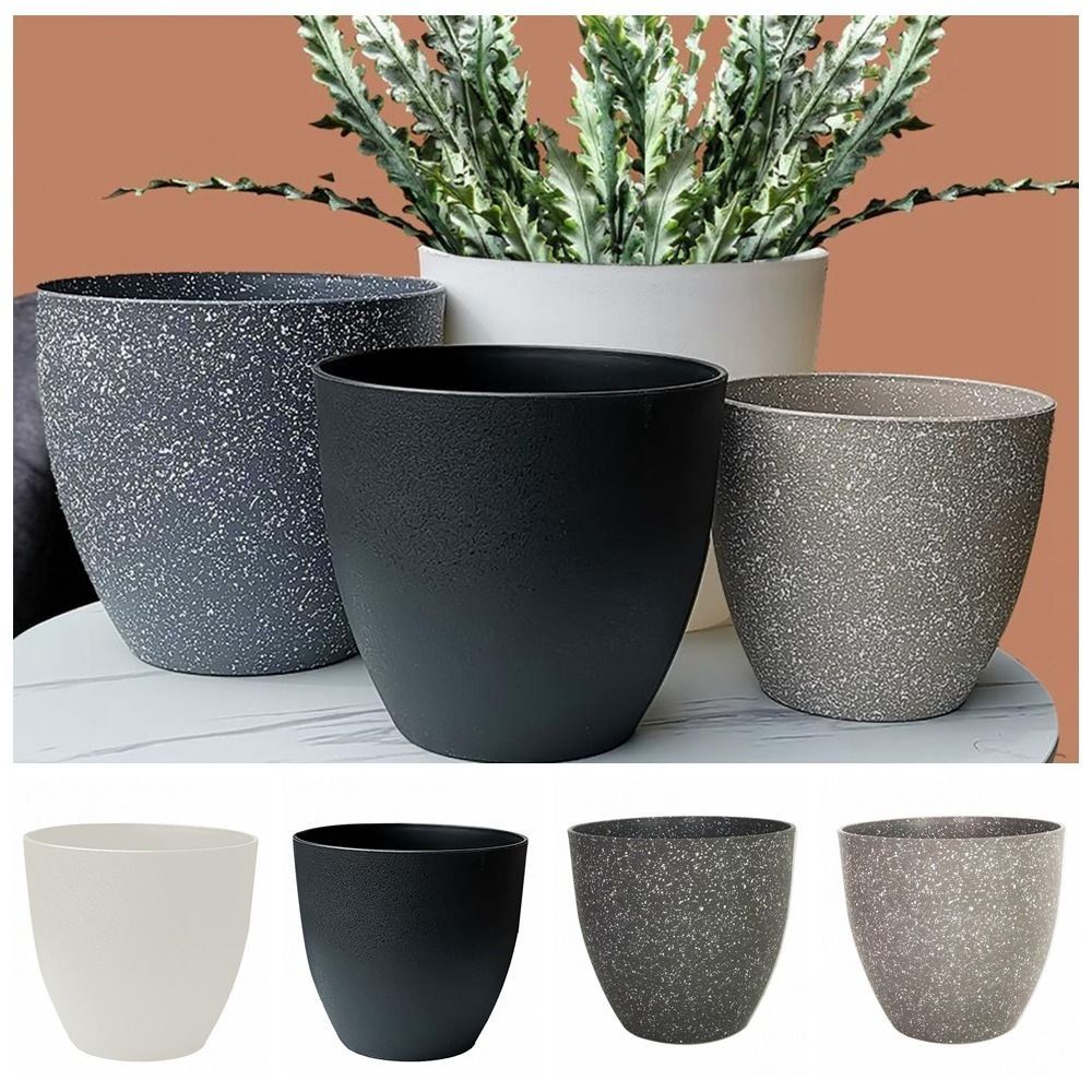 Frosted Imitation Stone Flower - Aloe Vera Pot 리뷰 및 가격