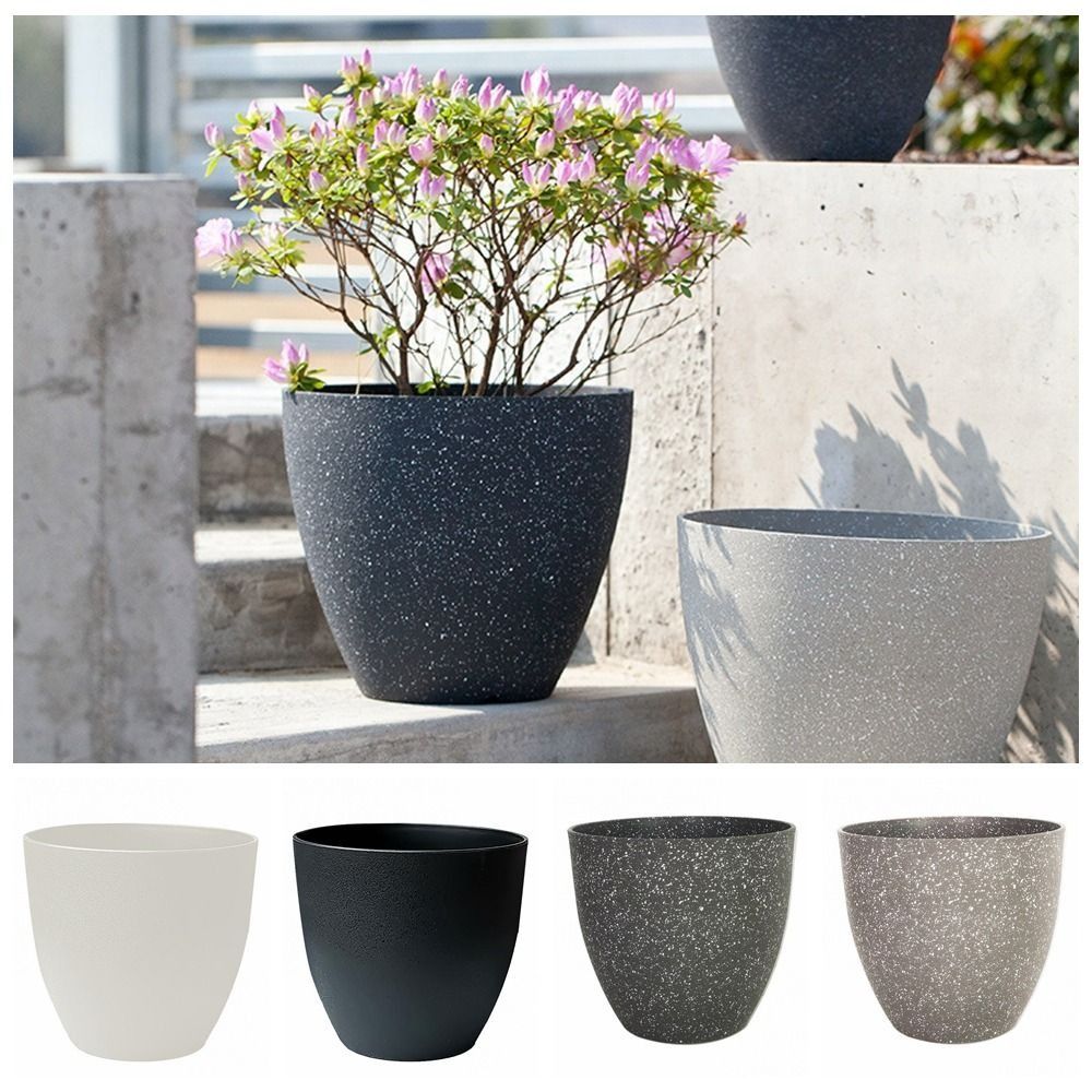 Frosted Imitation Stone Flower - Aloe Vera Pot 리뷰 및 가격