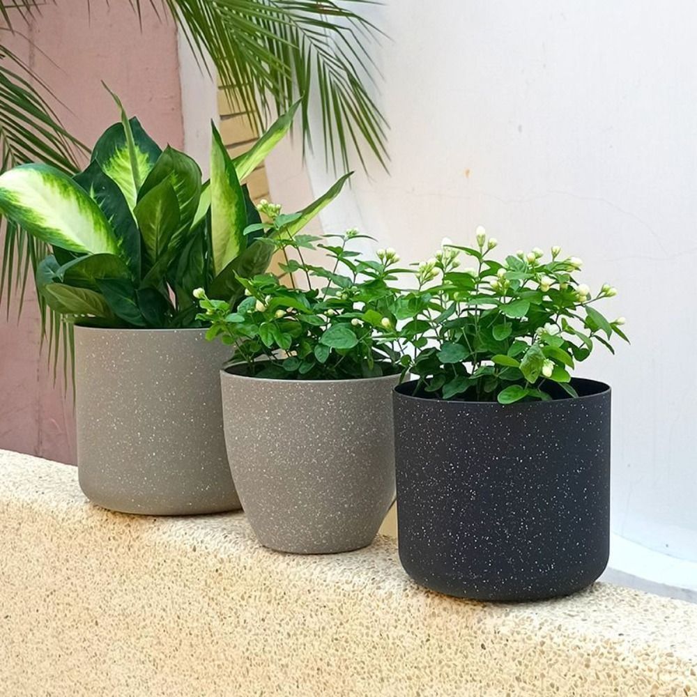 Frosted Imitation Stone Flower - Aloe Vera Pot 리뷰 및 가격