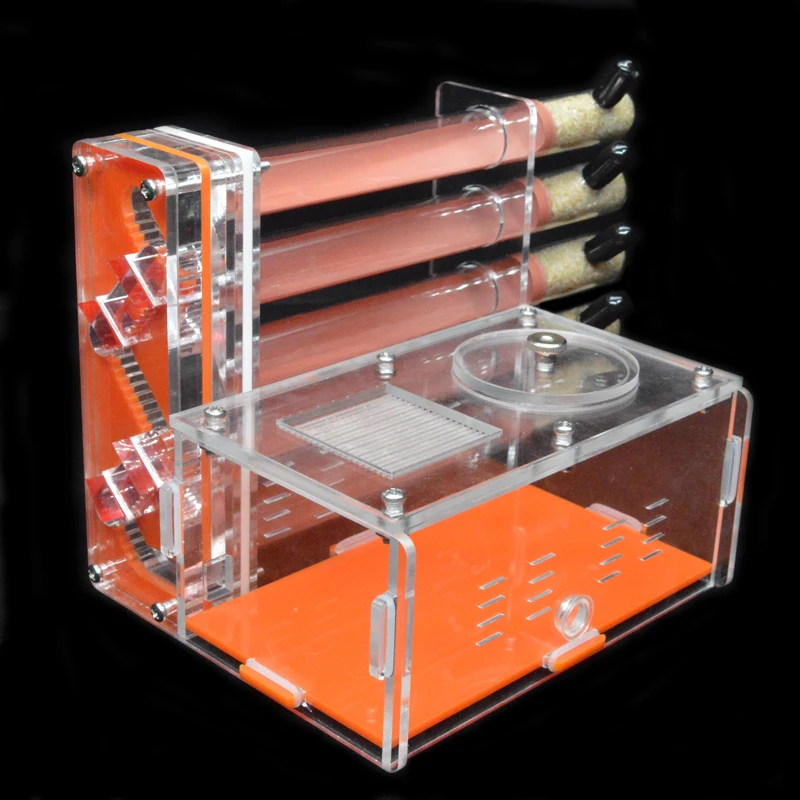DIY Acrylic Ant Farm 5 pcs 18- - Begonia Rex 리뷰 및 가격