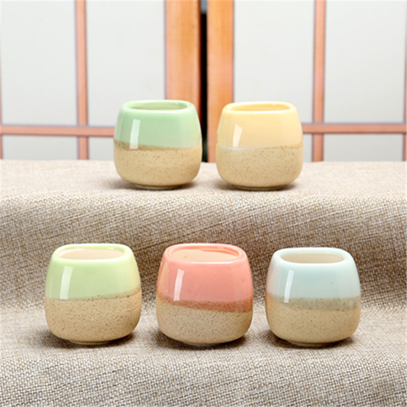Mini Jelly Shape Cartoon Ceram - Echeveria Succulent 리뷰 및 가격