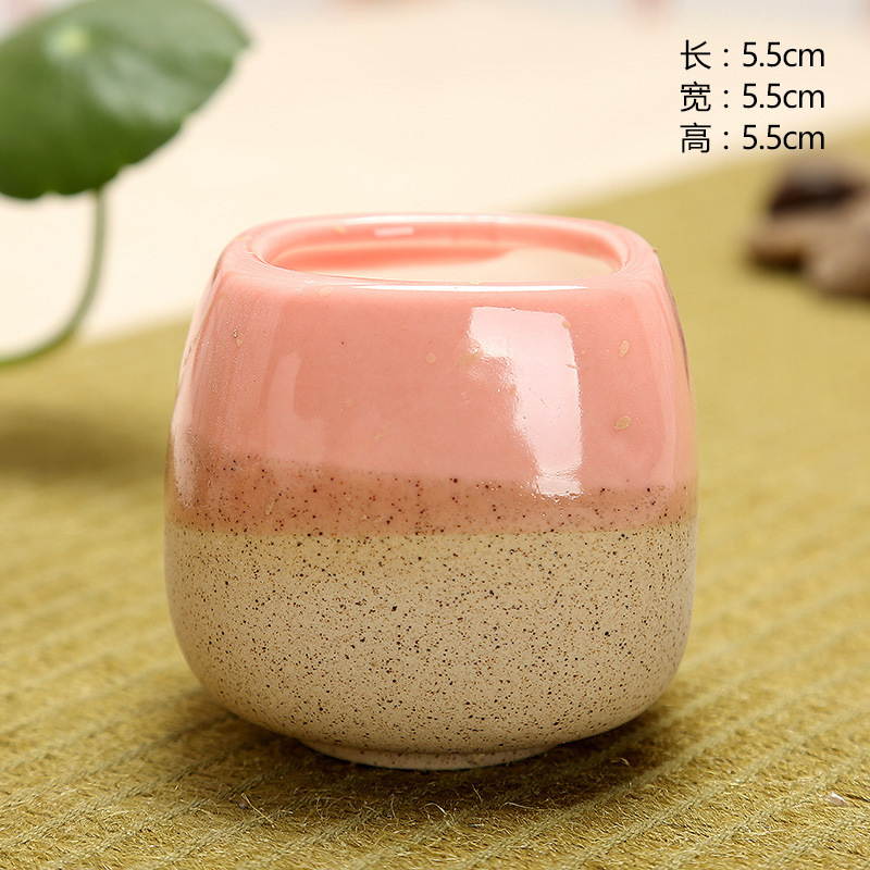 Mini Jelly Shape Cartoon Ceram - Echeveria Succulent 리뷰 및 가격