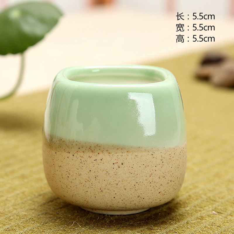 Mini Jelly Shape Cartoon Ceram - Echeveria Succulent 리뷰 및 가격
