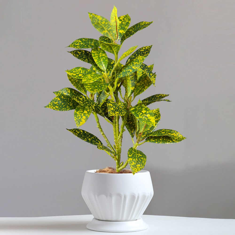 24-41cm Artificial Ficus Tree  - Ficus Lyrata Tree 리뷰 및 가격