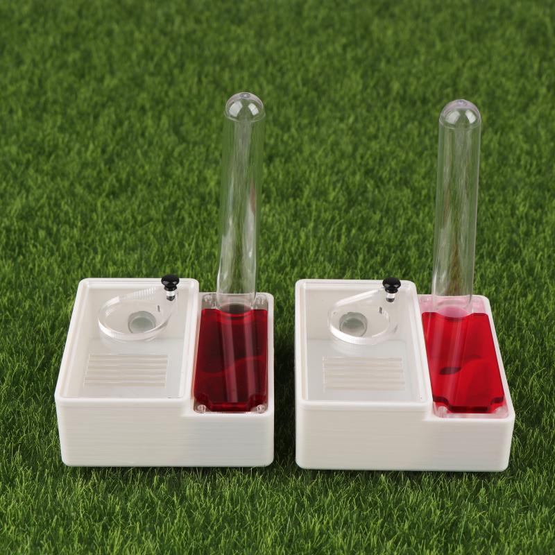【Peace】3D Printed Ant Farm Que - Begonia Rex 리뷰 및 가격