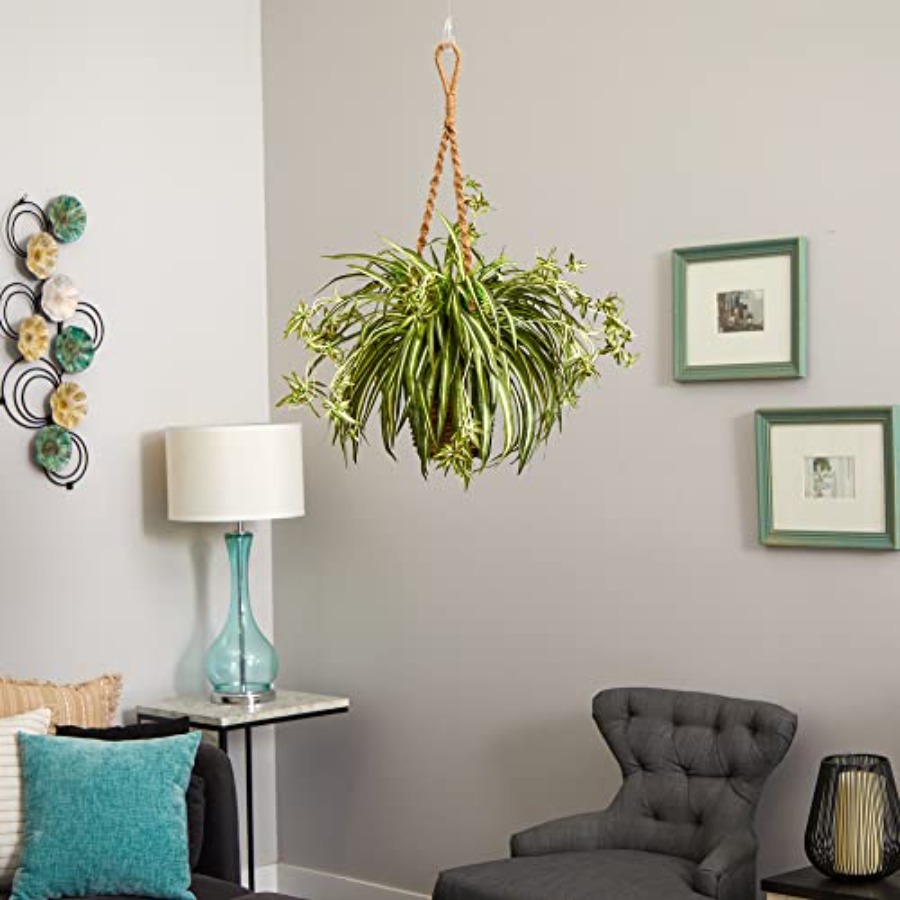 Spider Plant Hanging Basket fo - Spider Plant Hanging 리뷰 및 가격