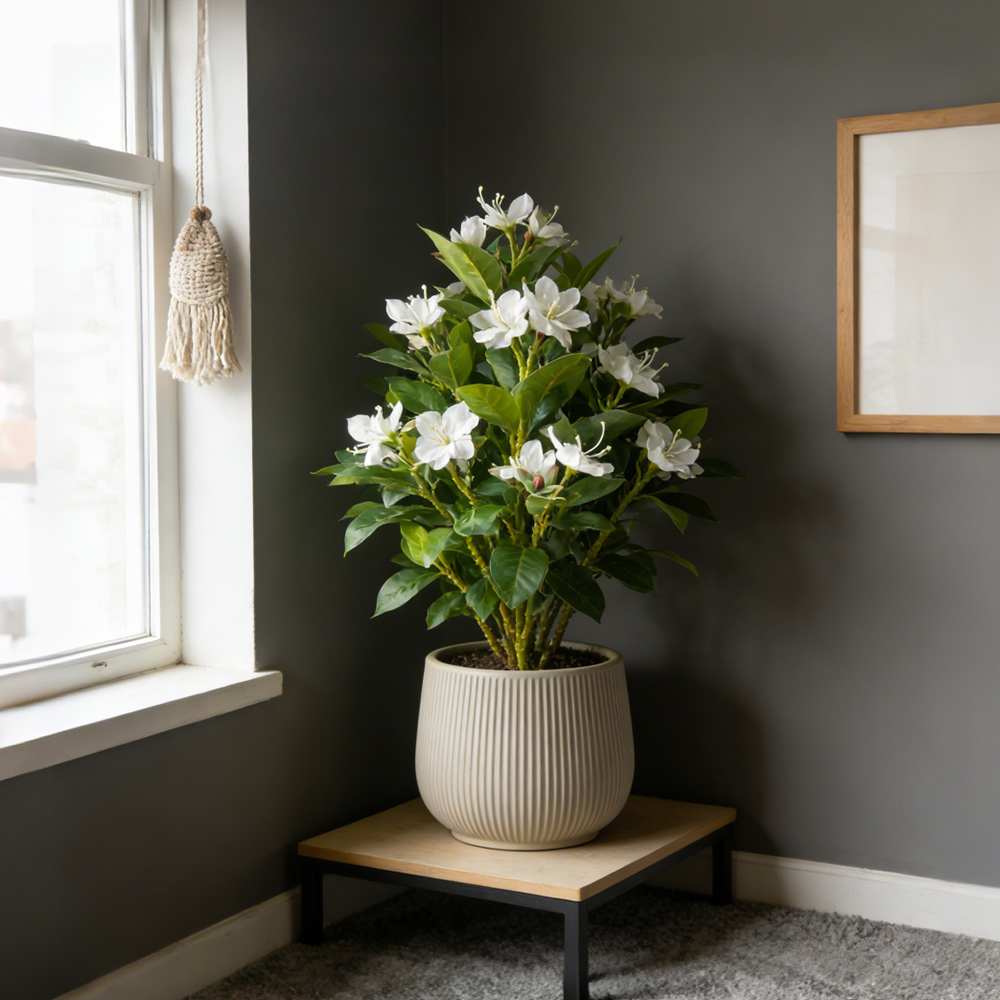 21-40cm Artificial Azalea Flow - Ficus Lyrata Tree 리뷰 및 가격