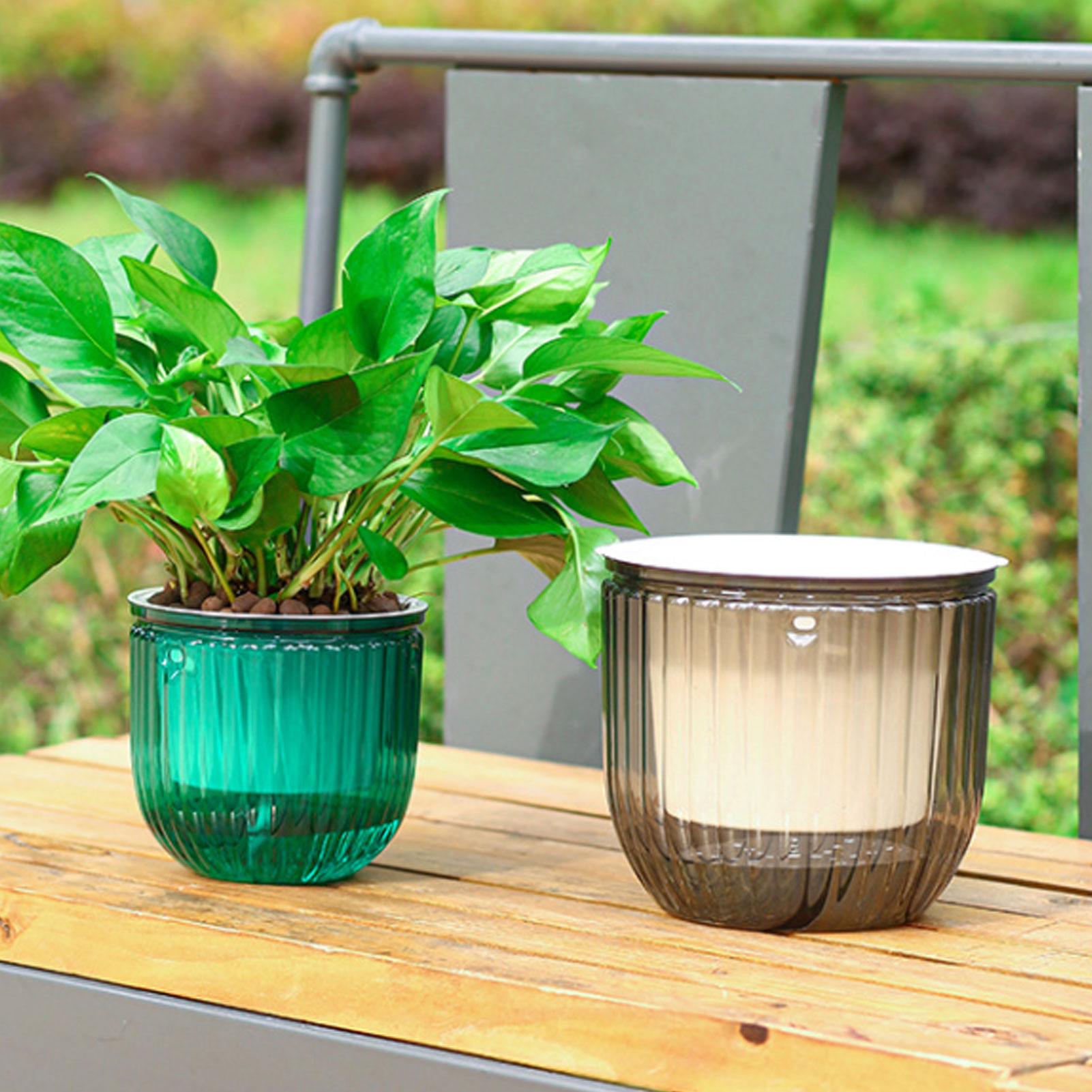 Automatic Self Watering Plant  - Spider Plant Hanging 리뷰 및 가격