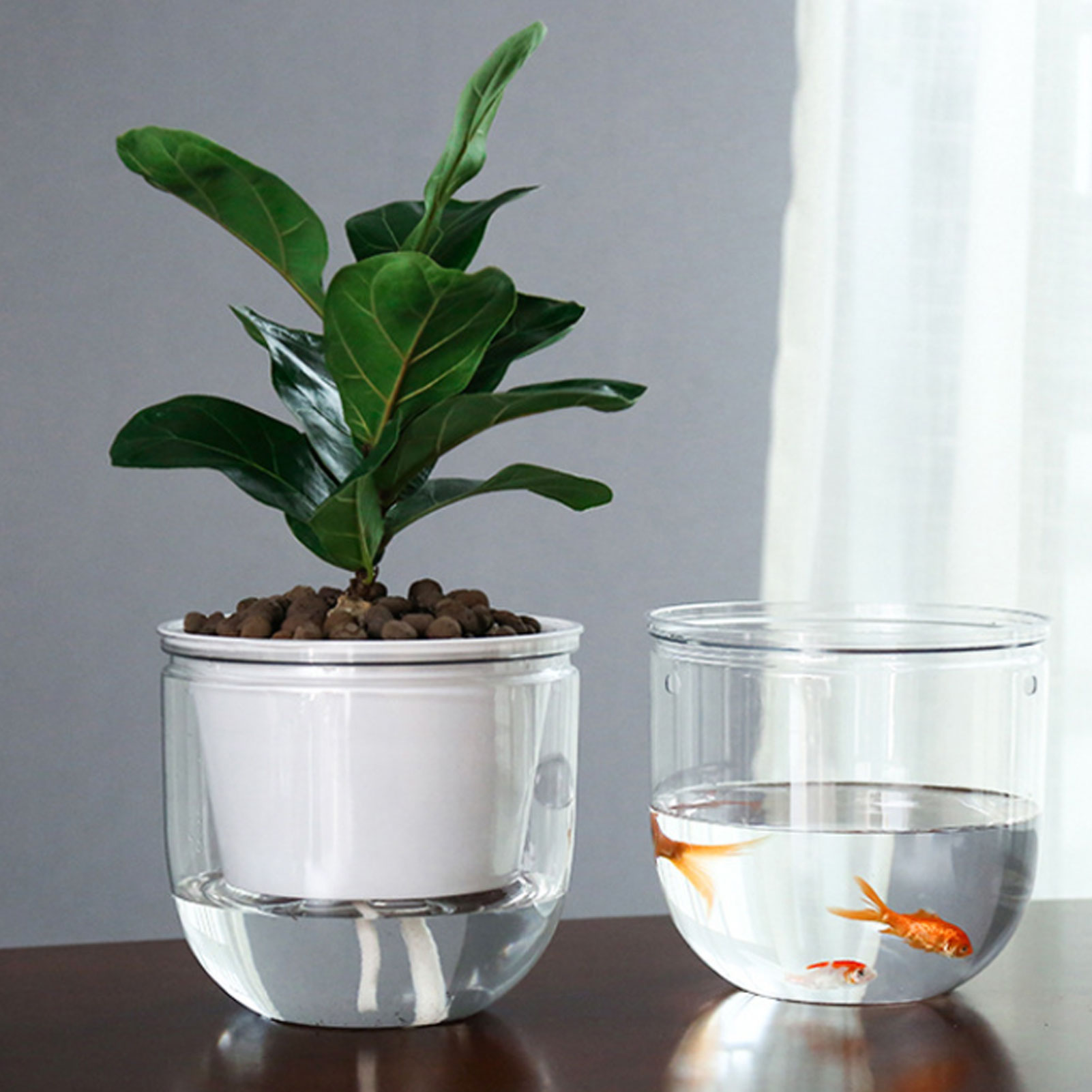 Automatic Self Watering Plant  - Spider Plant Hanging 리뷰 및 가격