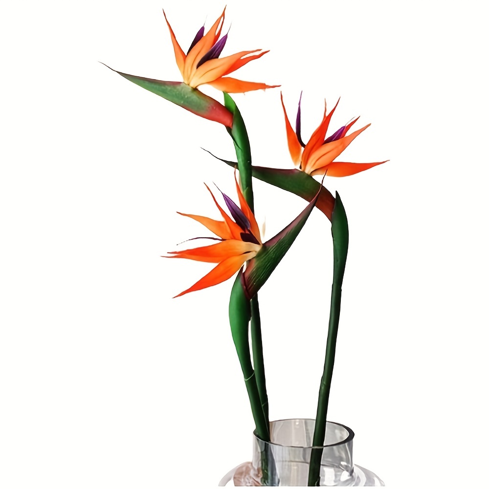 3pcs Artificial Bird Of Paradi - Bird Paradise Strelitzia 리뷰 및 가격