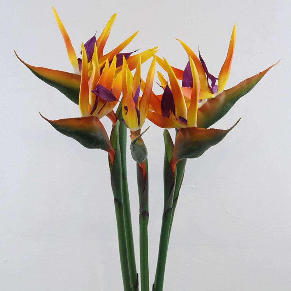 1pc 80cm Flower Bird Of Paradi - Bird Paradise Strelitzia 리뷰 및 가격