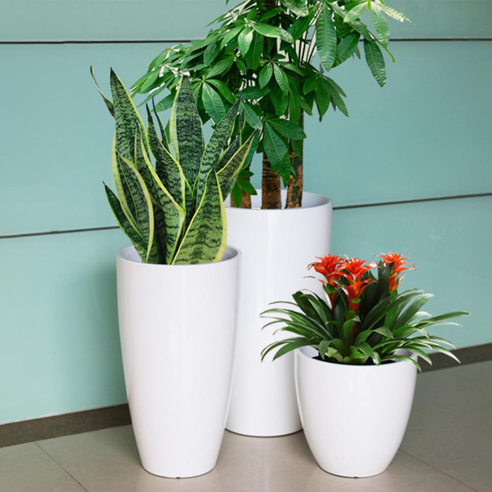 28cm Height Deep Flower Pot Im - Aloe Vera Pot 리뷰 및 가격