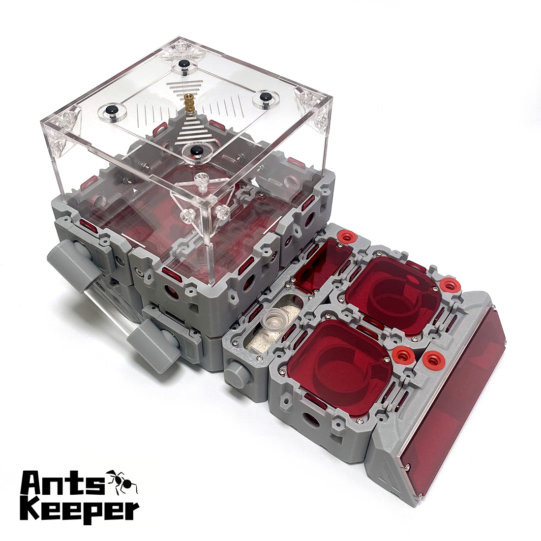 【Lego】Expandable Modular Formi - Begonia Rex 리뷰 및 가격