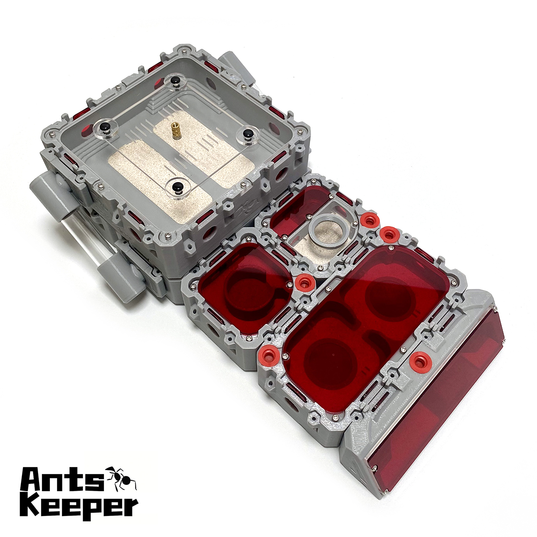 【Lego】Expandable Modular Formi - Begonia Rex 리뷰 및 가격