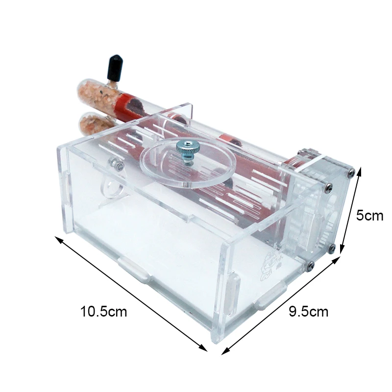 DIY Ant Farm 2 pcs 18-180mm Gy - Begonia Rex 리뷰 및 가격