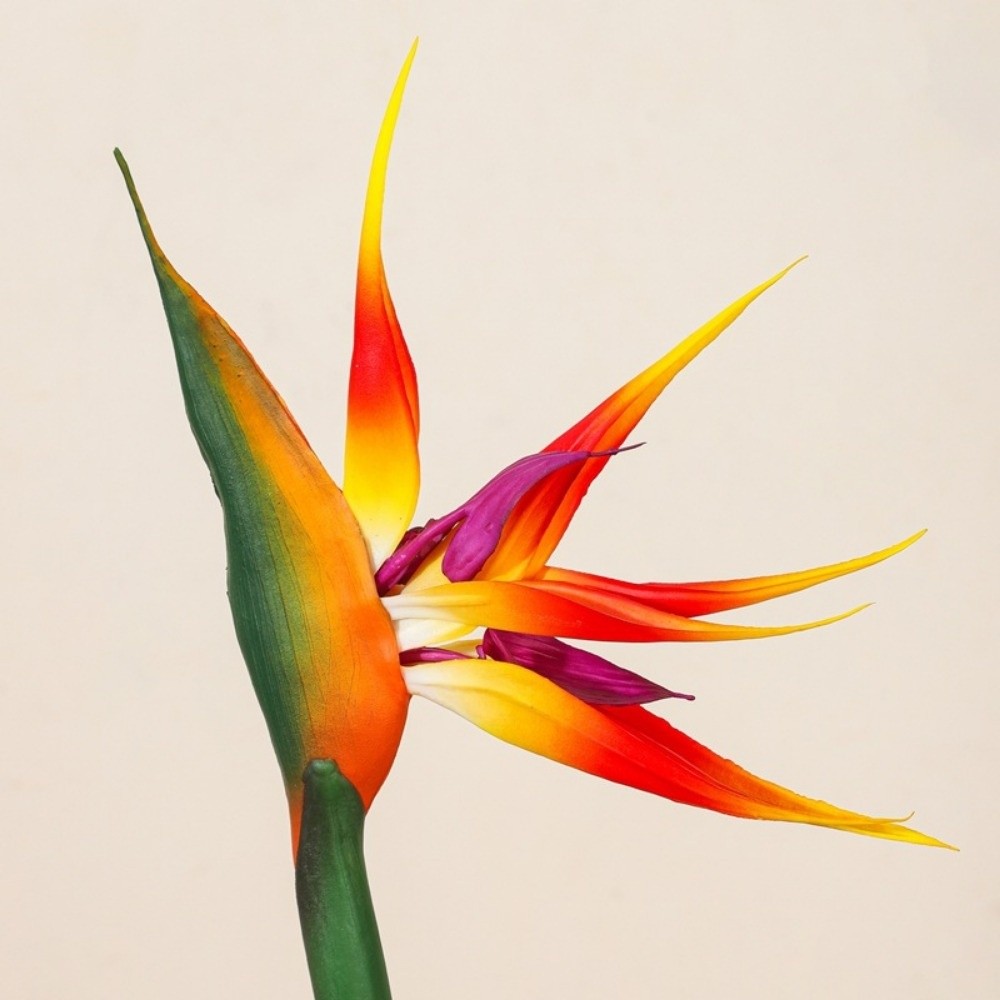 Long Stem Artificial Bird of P - Bird Paradise Strelitzia 리뷰 및 가격