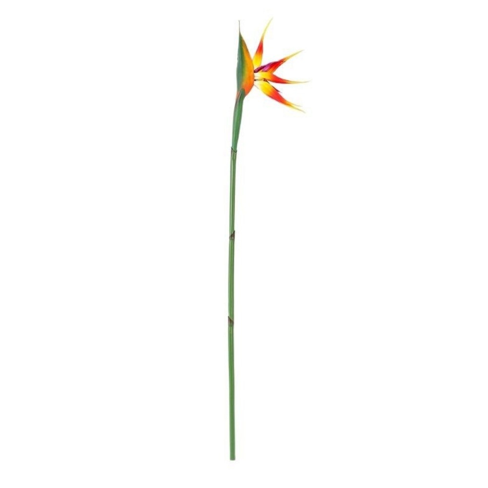 Long Stem Artificial Bird of P - Bird Paradise Strelitzia 리뷰 및 가격