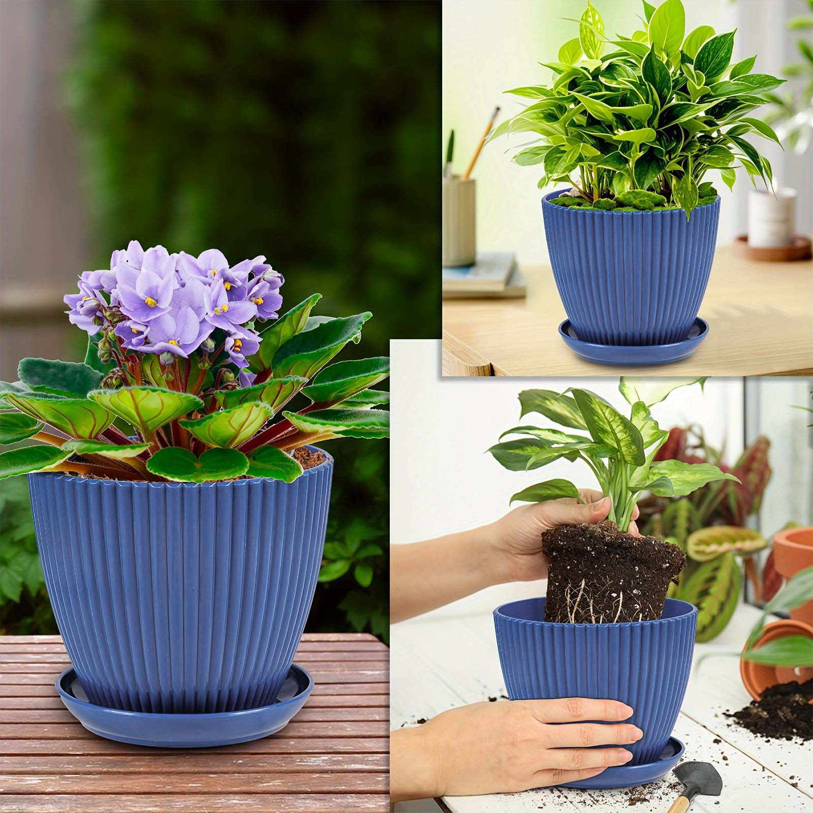 Vertical Striped Thickened Pla - Aloe Vera Pot 리뷰 및 가격