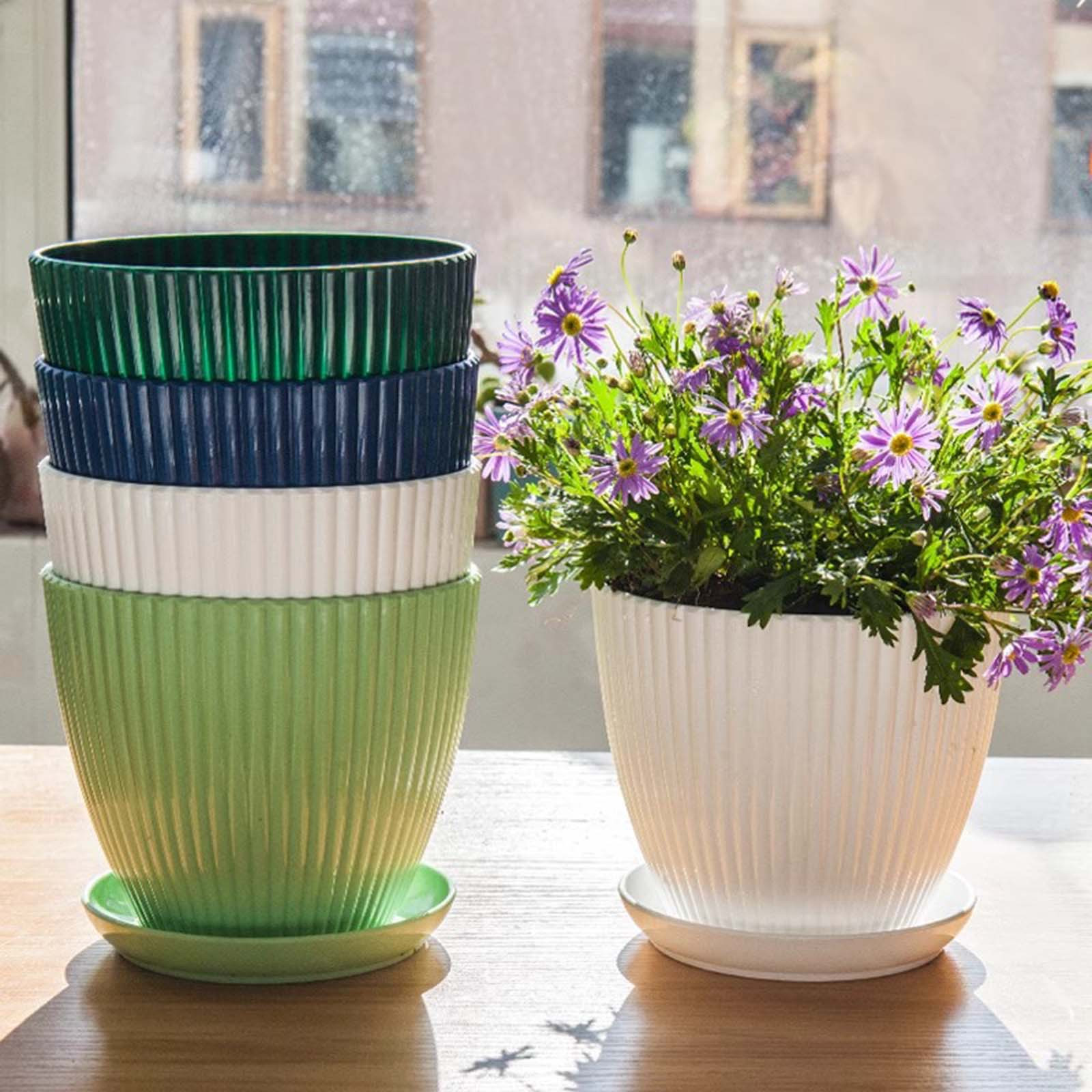Vertical Striped Thickened Pla - Aloe Vera Pot 리뷰 및 가격
