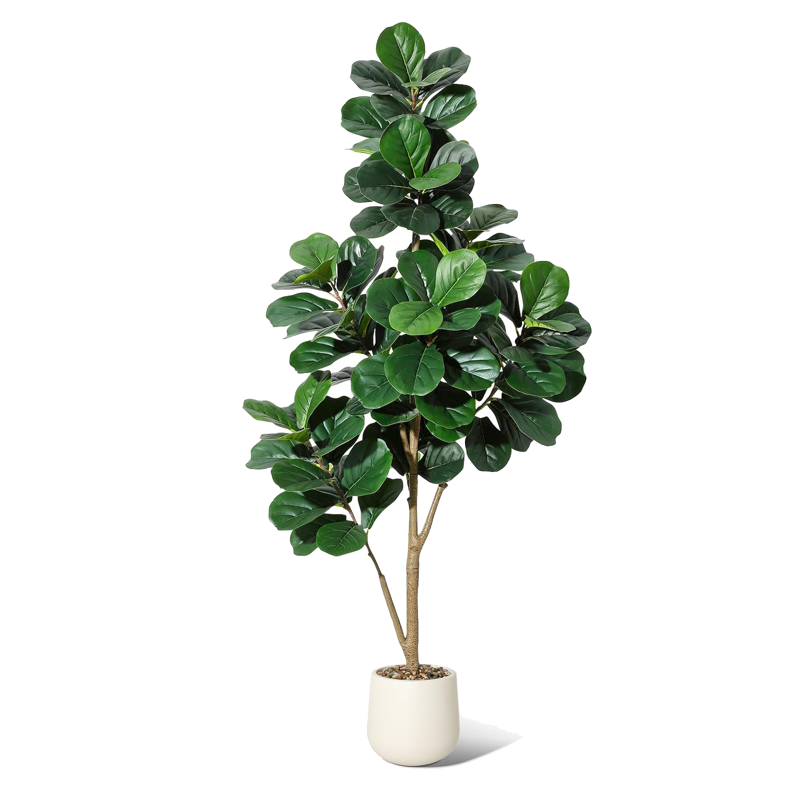 4-7 FT Fiddle Leaf Fig Tree Ar - Ficus Lyrata Tree 리뷰 및 가격