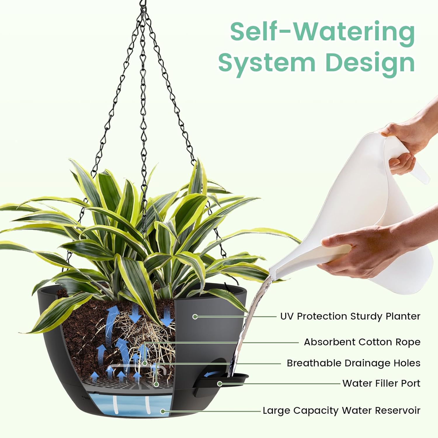 8 Inch Self Watering Hanging P - Spider Plant Hanging 리뷰 및 가격