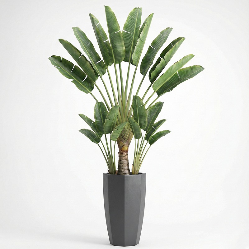 High-Simulation Plastic Fiddle - Ficus Lyrata Tree 리뷰 및 가격