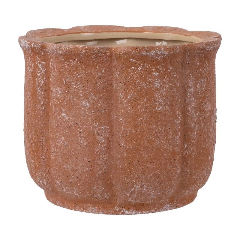 8in Terracotta Flower Planter  - Aloe Vera Pot 리뷰 및 가격