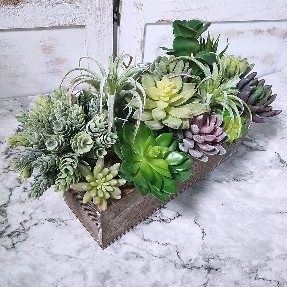15 Pack Assorted Artificial Su - Echeveria Succulent 리뷰 및 가격