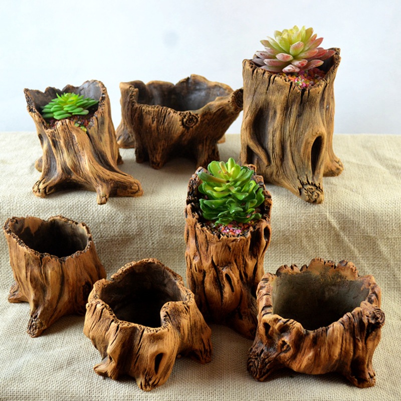 Imitation Wooden Stakes Tree R - Echeveria Succulent 리뷰 및 가격