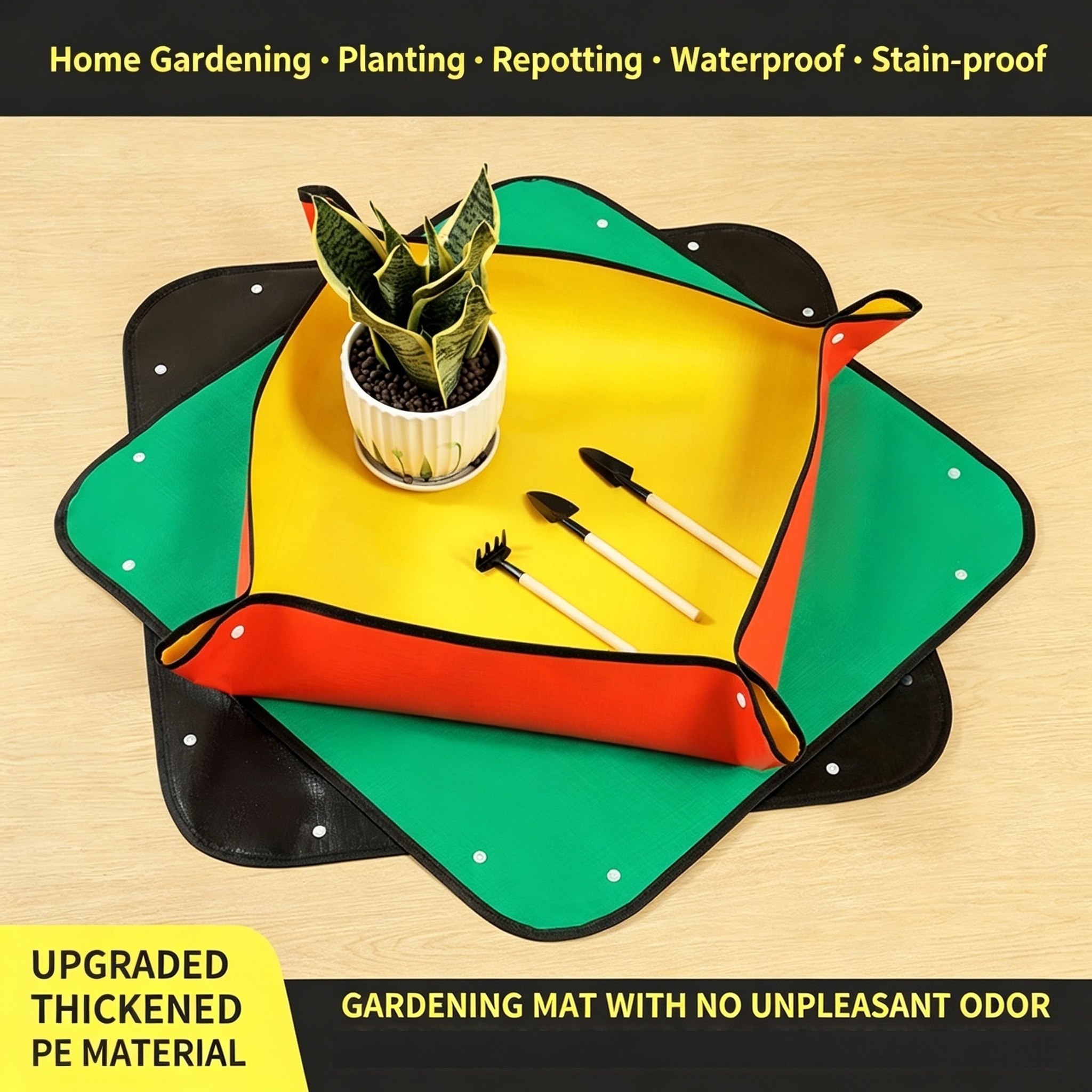 Plant Repotting Mat, Waterproo - Echeveria Succulent 리뷰 및 가격