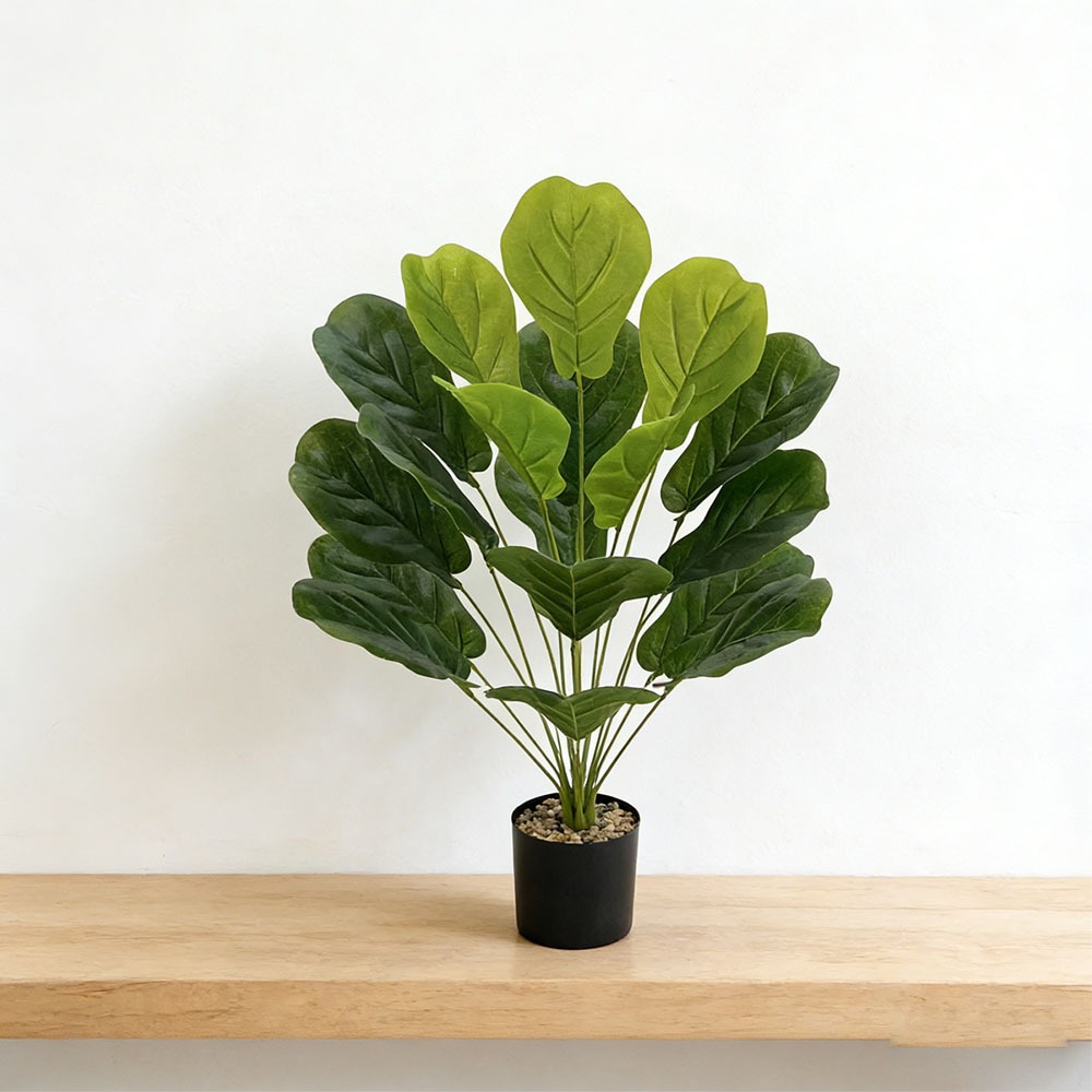 1pc of 75cm Artificial Ficus L - Ficus Lyrata Tree 리뷰 및 가격