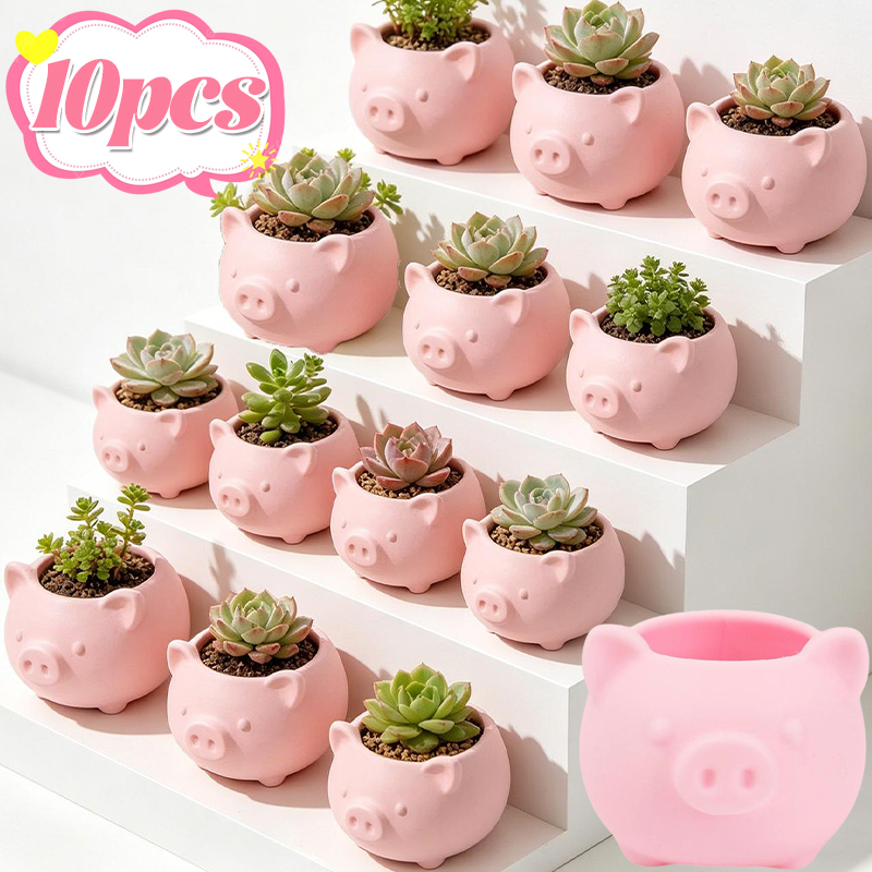 10/1pcs 3D Printed Creative Pi - Echeveria Succulent 리뷰 및 가격