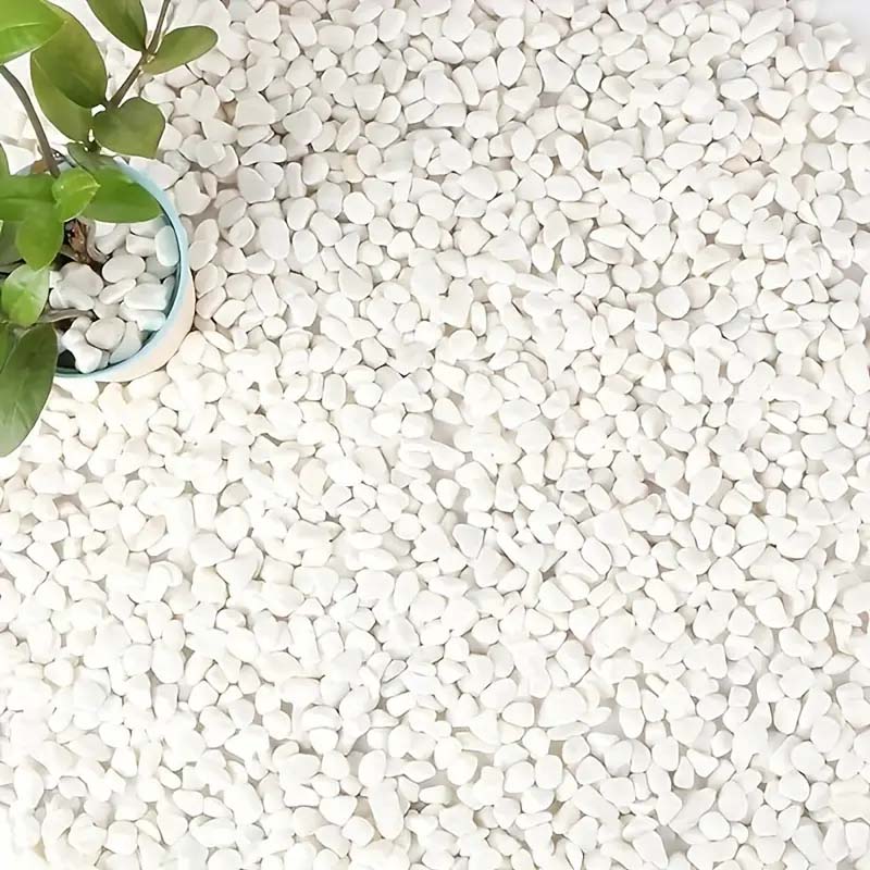 White Pebbles Decorative Stone - Echeveria Succulent 리뷰 및 가격