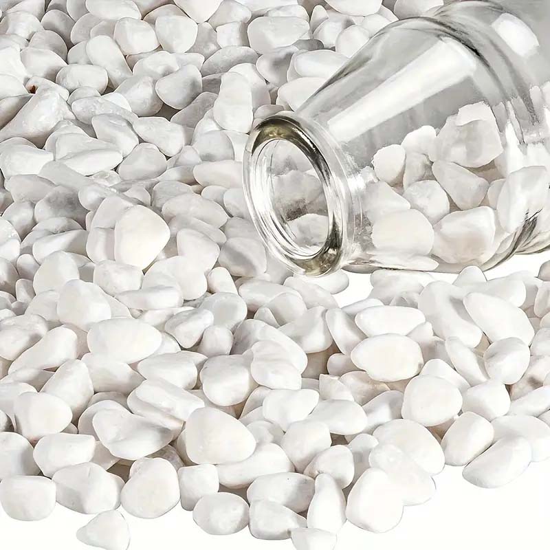 White Pebbles Decorative Stone - Echeveria Succulent 리뷰 및 가격