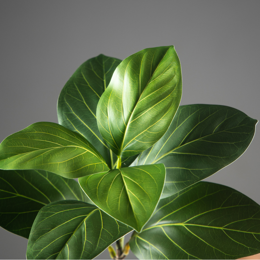 70-130cm Large Artificial Bany - Ficus Lyrata Tree 리뷰 및 가격