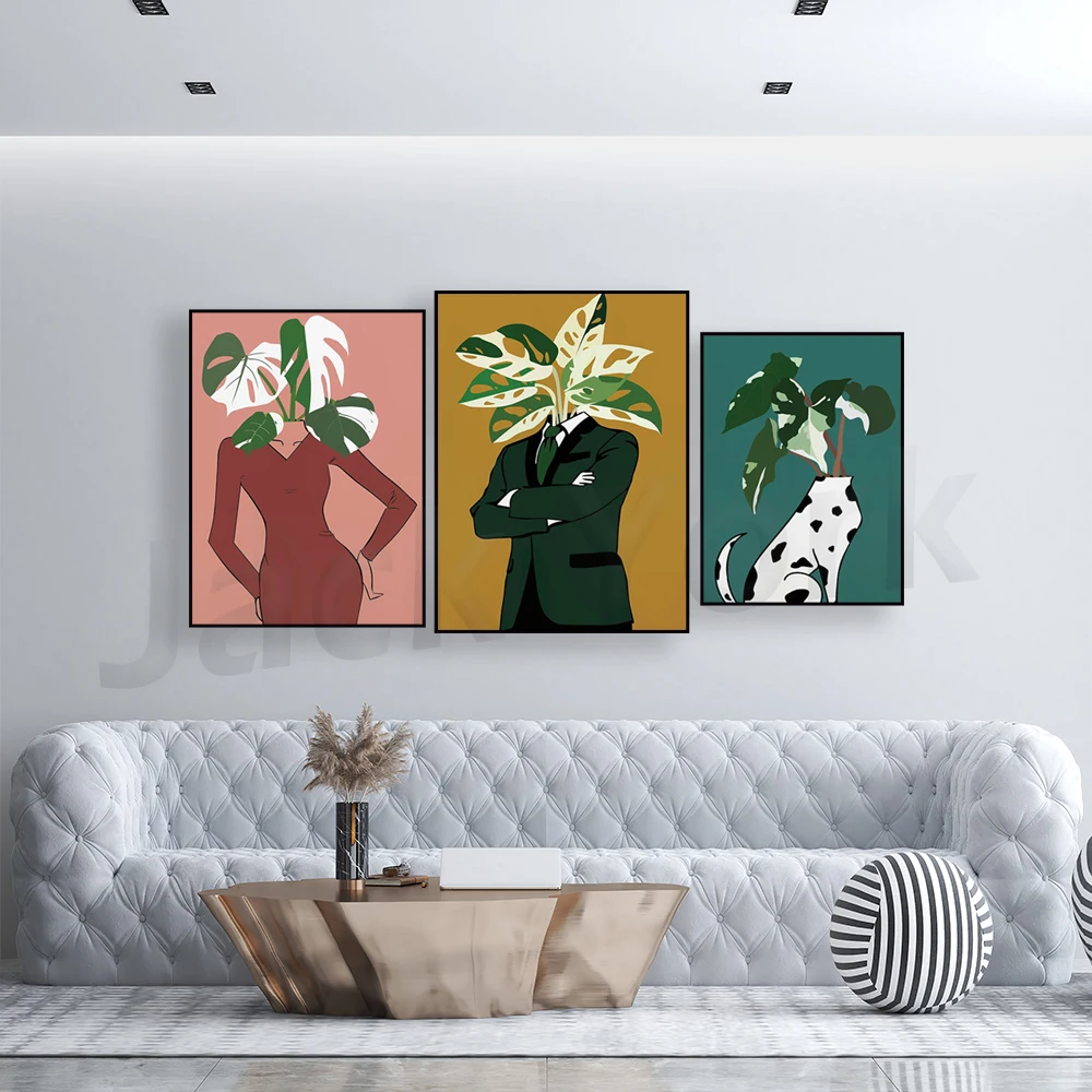 Monstera Albo in a burgundy dr - Monstera Adansonii 리뷰 및 가격