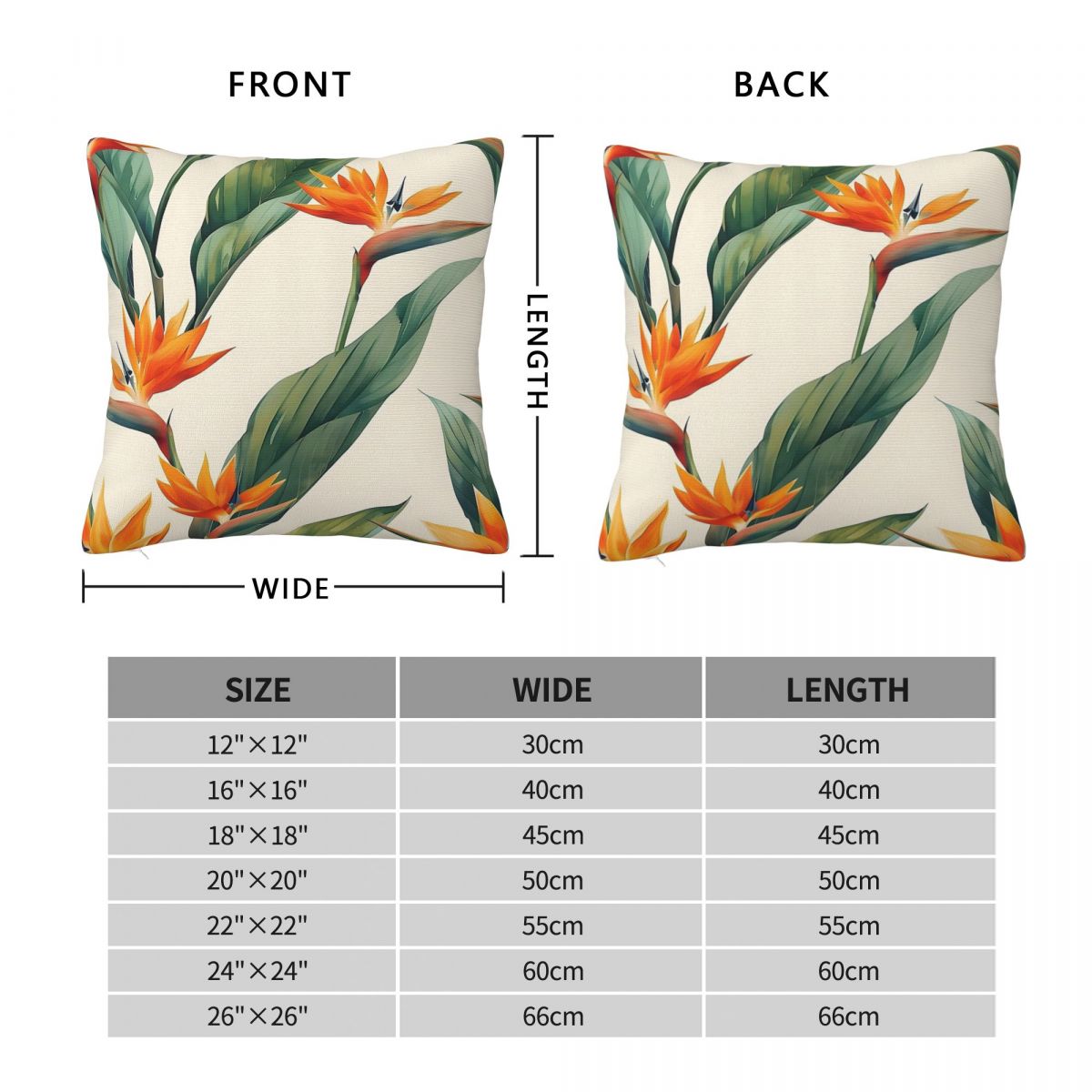Bird Of Paradise Strelitzia Sq - Bird Paradise Strelitzia 리뷰 및 가격