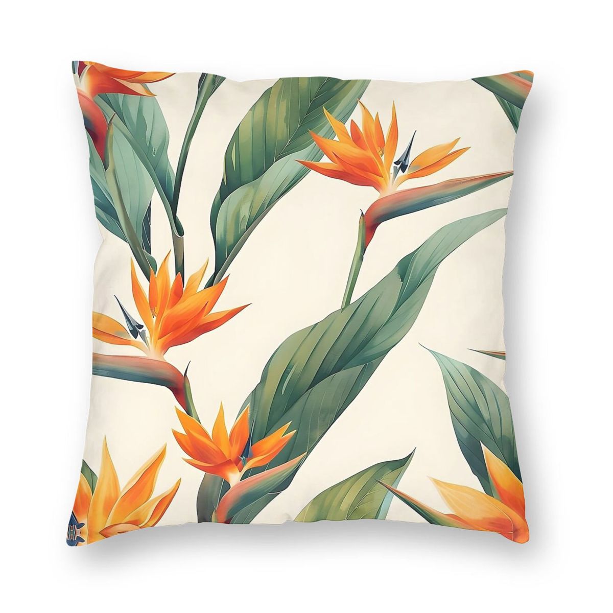 Bird Of Paradise Strelitzia Sq - Bird Paradise Strelitzia 리뷰 및 가격