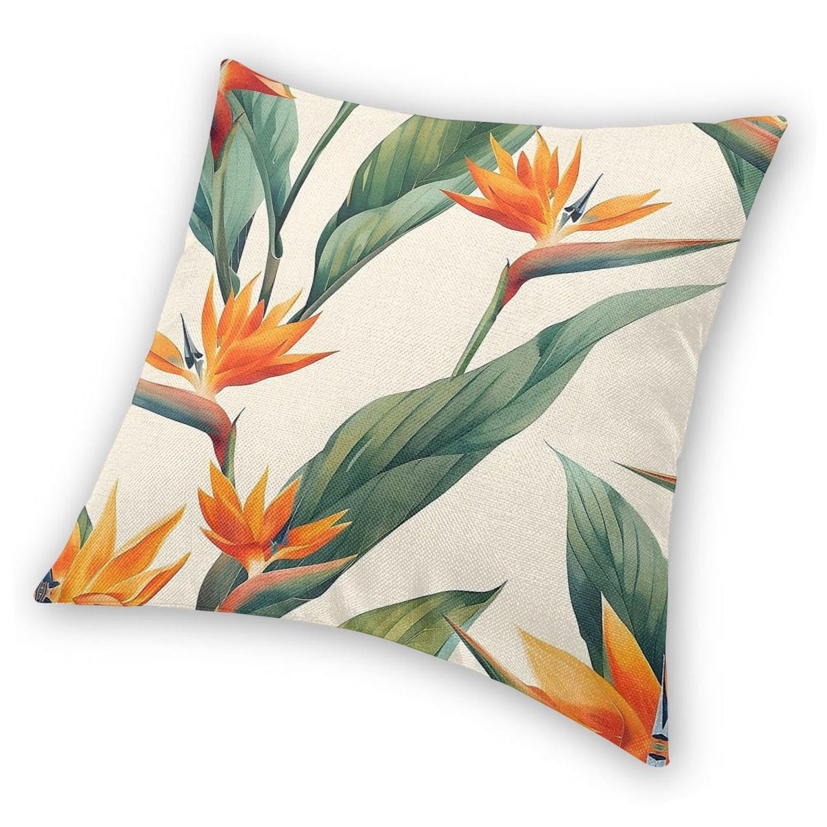 Bird Of Paradise Strelitzia Sq - Bird Paradise Strelitzia 리뷰 및 가격