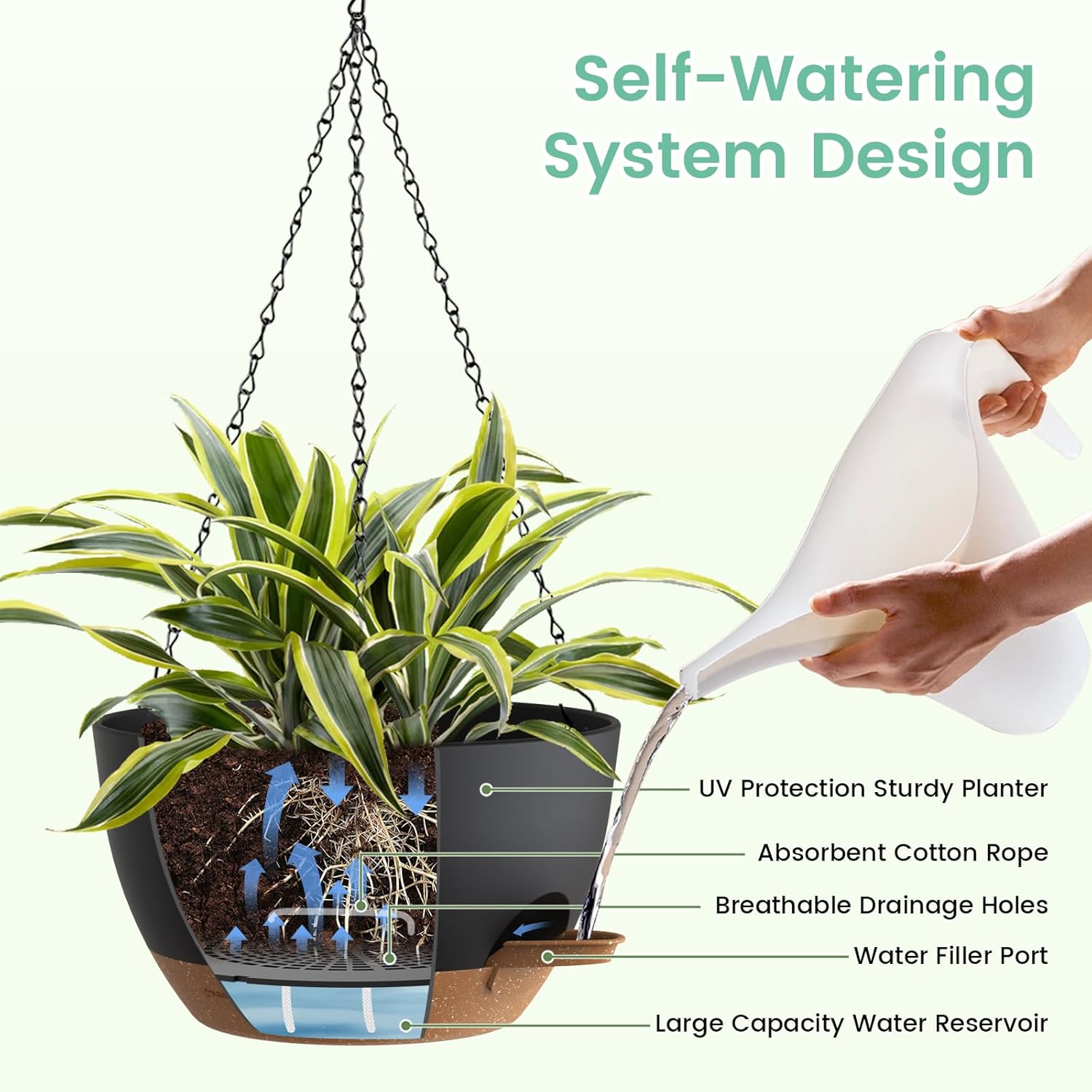 Self Watering Hanging Planters - Spider Plant Hanging 리뷰 및 가격