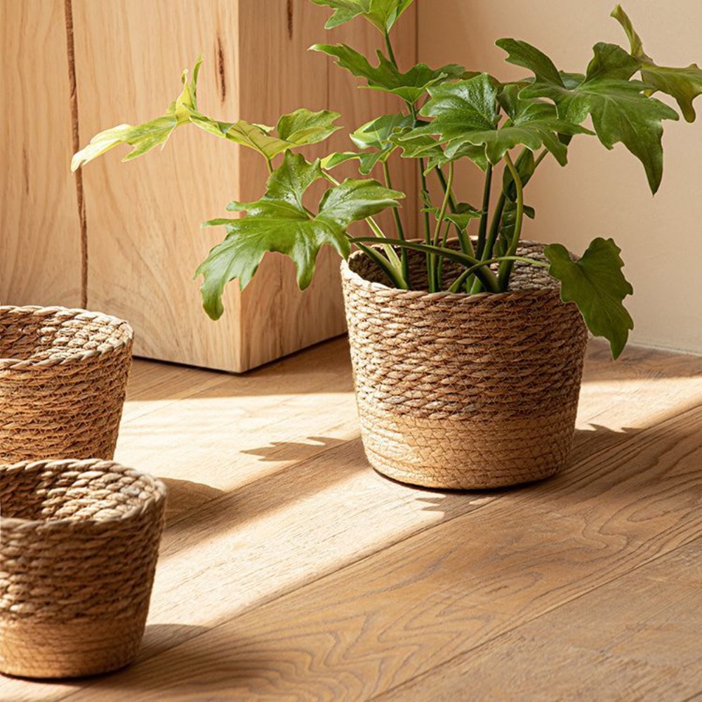Straw Weaving Flower Plant Pot - Aloe Vera Pot 리뷰 및 가격